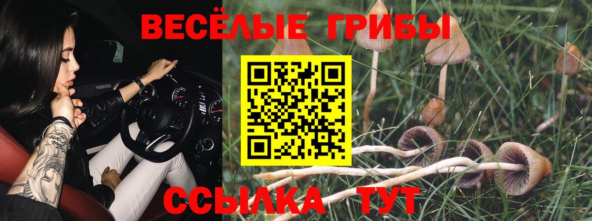 Галлюциногенные грибы мицелий Хабаровск